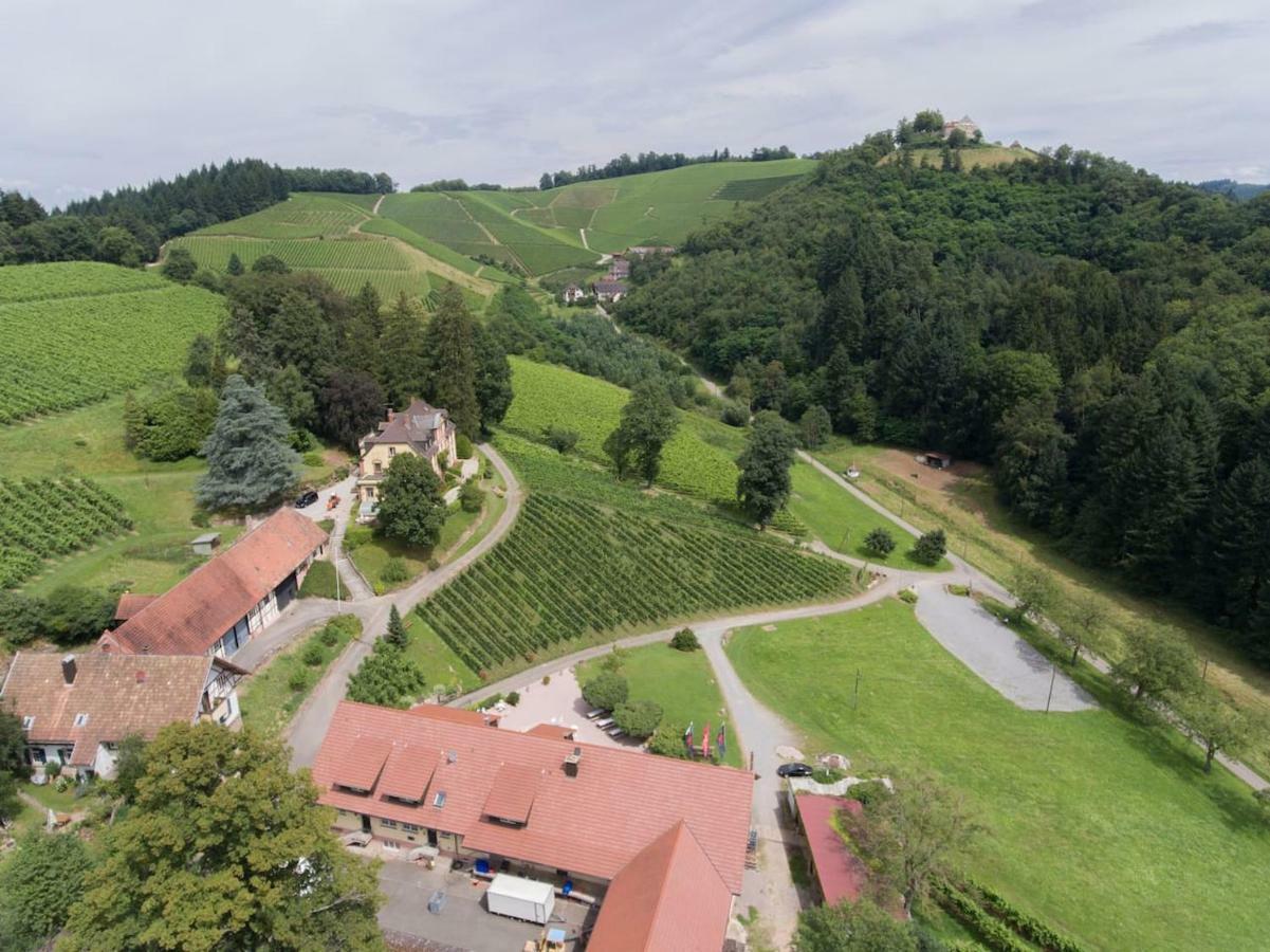 Wein Lodge Durbach - Schlossblick Exterior photo